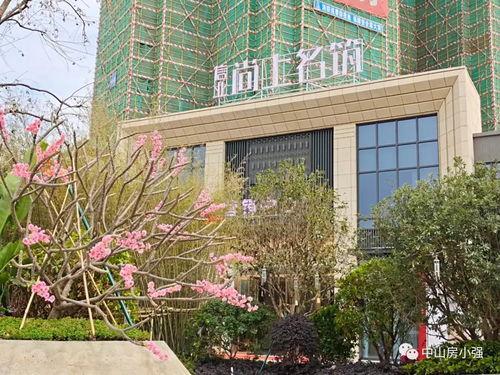 恒哥最新爆料电话查询,电话查询背后的惊人真相  第3张