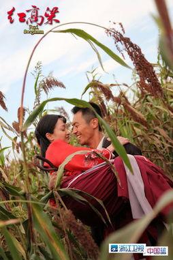 红高粱 在线观看,激情燃烧的岁月，民族抗争的史诗  第1张